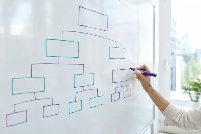 Main dessinant un arbre de cases vides au feutre violet sur un tableau blanc
